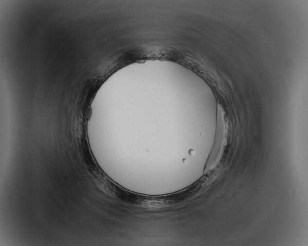 X0000086720413200705111559