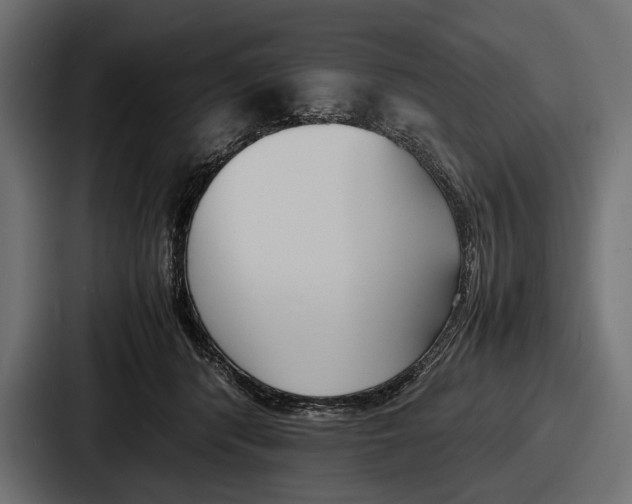 X0000086720416200705111559