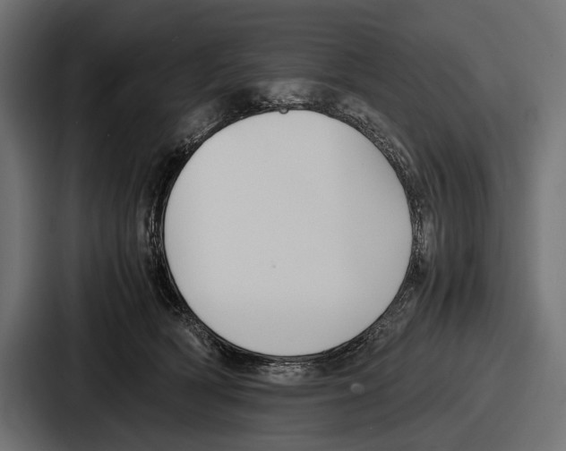 X0000086720418200705111559