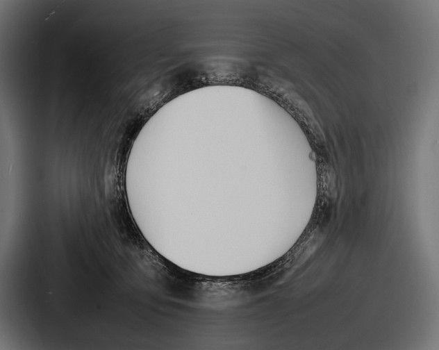 X0000086720419200705111559