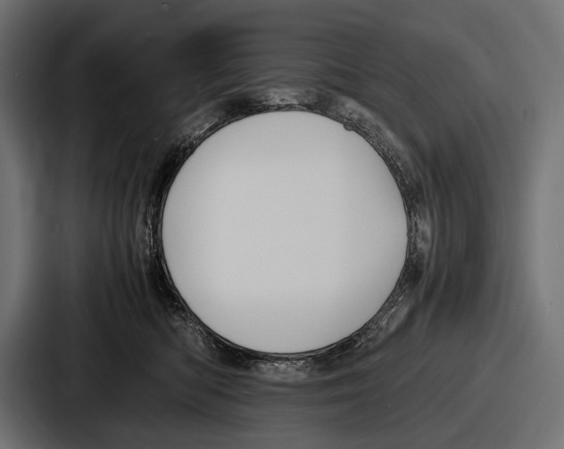 X0000086720422200705111559