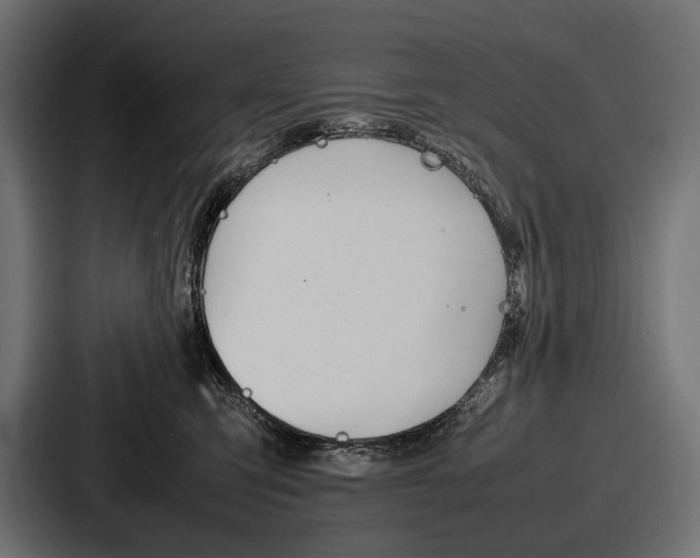 X0000086720423200705111559