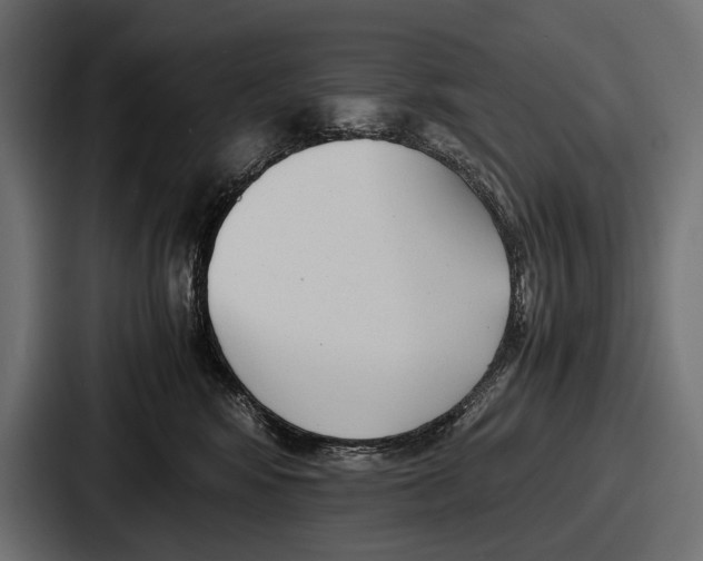 X0000086720424200705111559