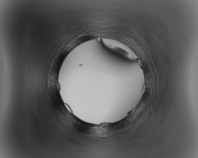 X0000086720425200705111559