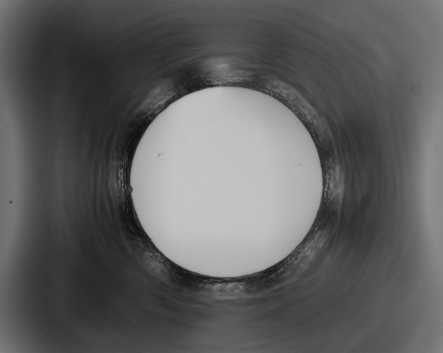 X0000086720426200705111559