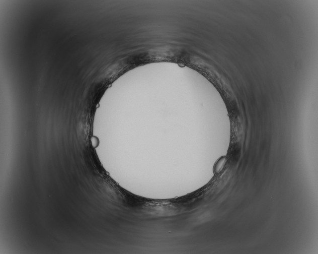 X0000086720427200705111559