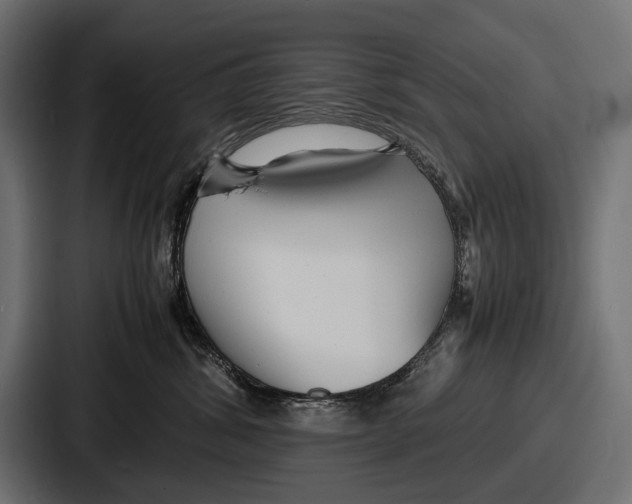 X0000086720428200705111559