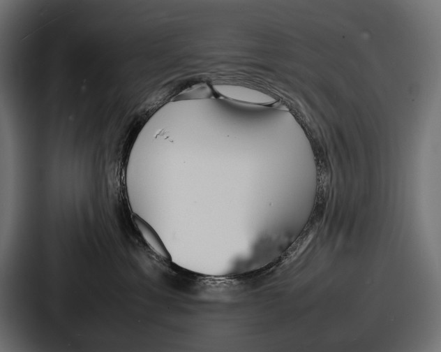 X0000086720429200705111559