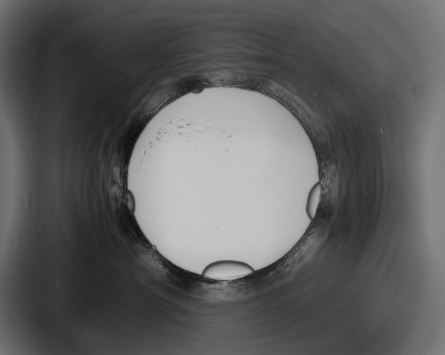 X0000086720430200705111558