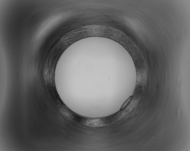 X0000086720431200705111558