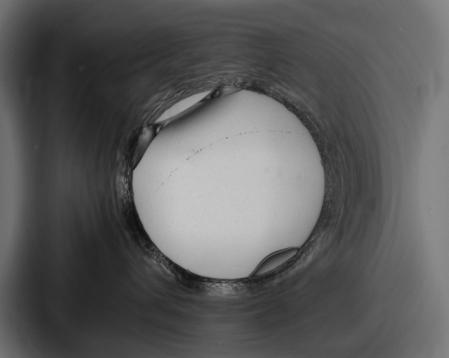 X0000086720432200705111558