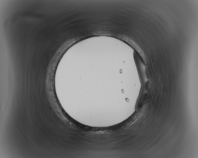 X0000086720433200705111558