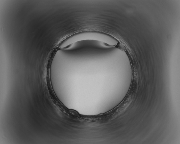 X0000086720434200705111558