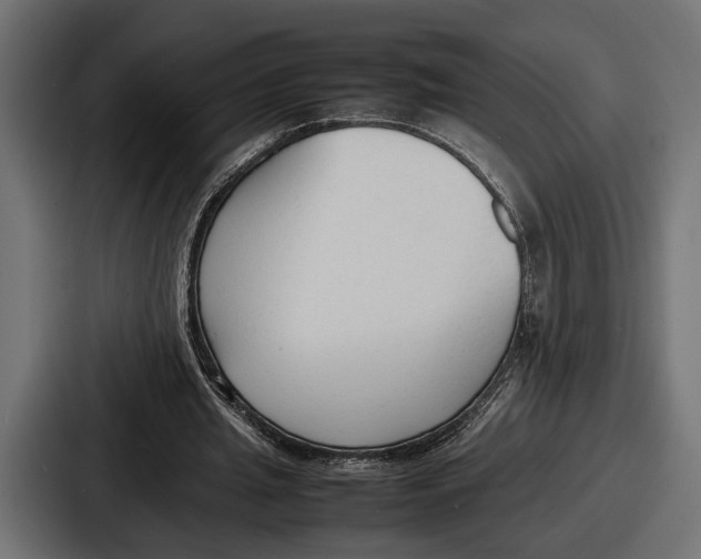 X0000086720437200705111558