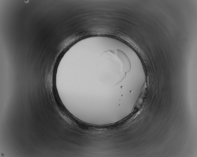 X0000086720438200705111558