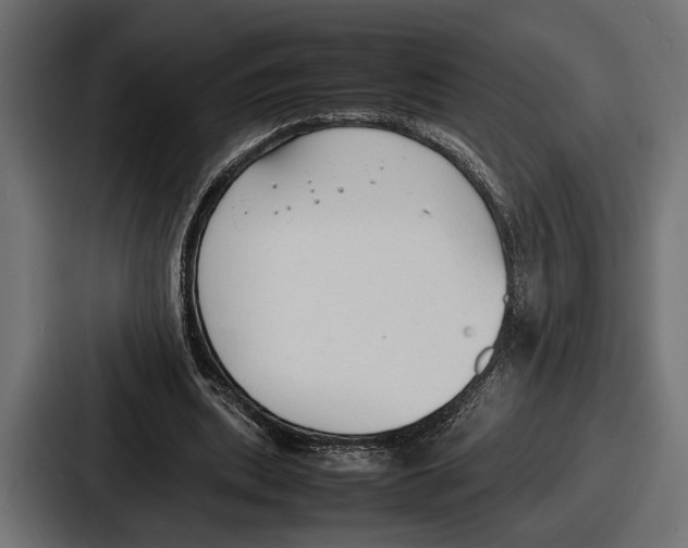 X0000086720439200705111558