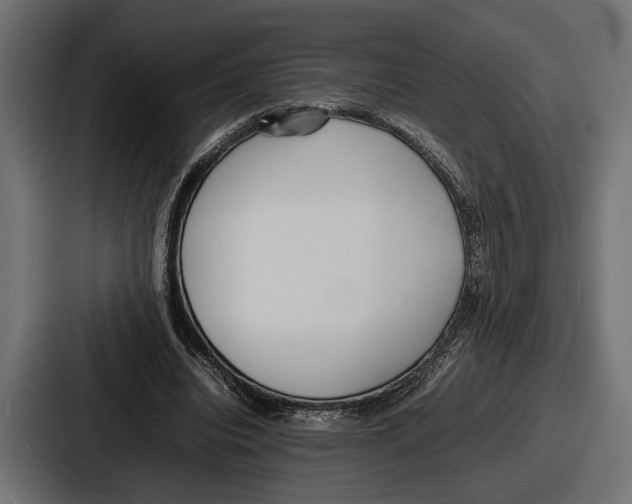 X0000086720440200705111558