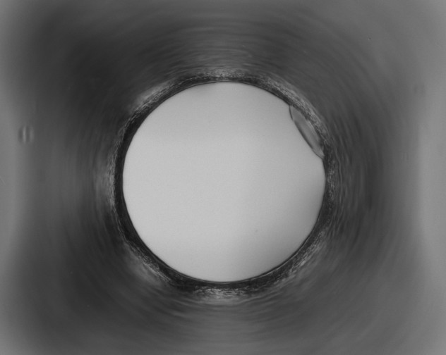 X0000086720442200705111558