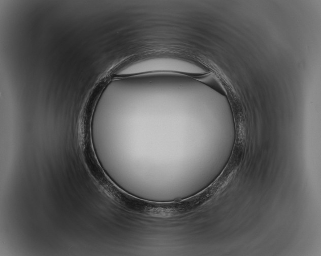 X0000086720444200705111558