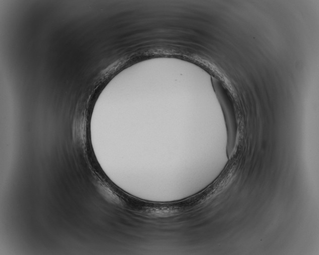 X0000086720445200705111558