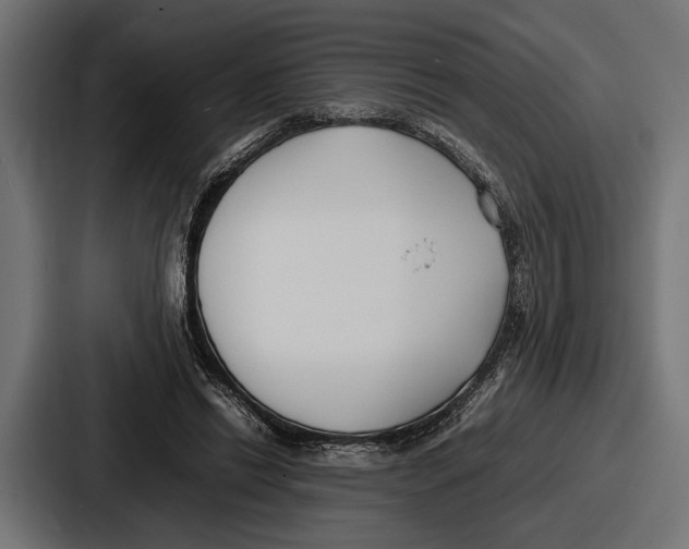 X0000086720446200705111558