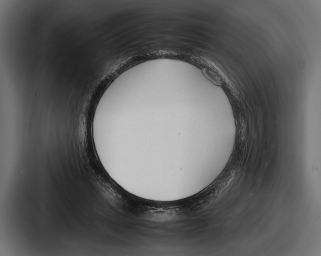 X0000086720447200705111558