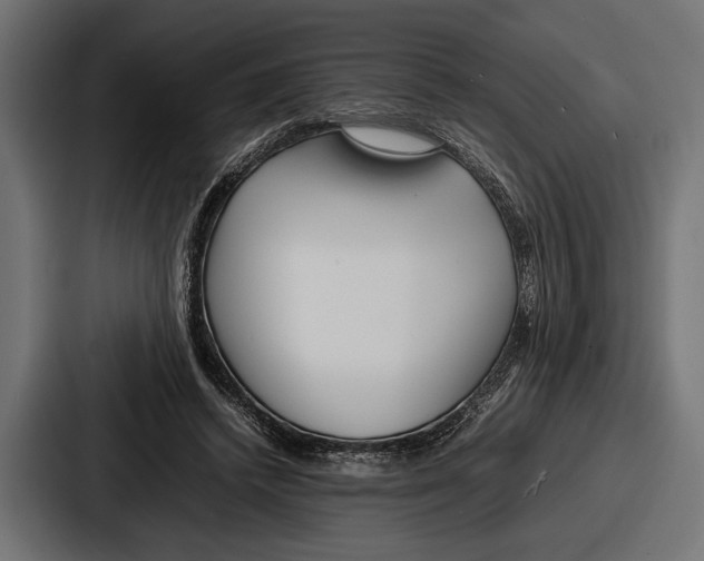 X0000086720448200705111558