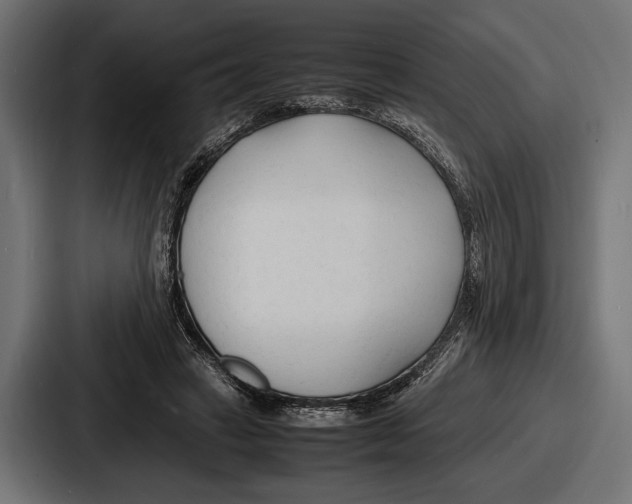 X0000086720449200705111558