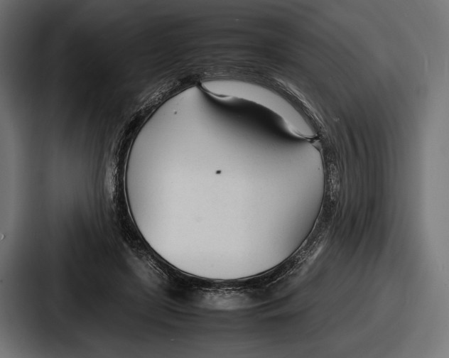 X0000086720451200705111558