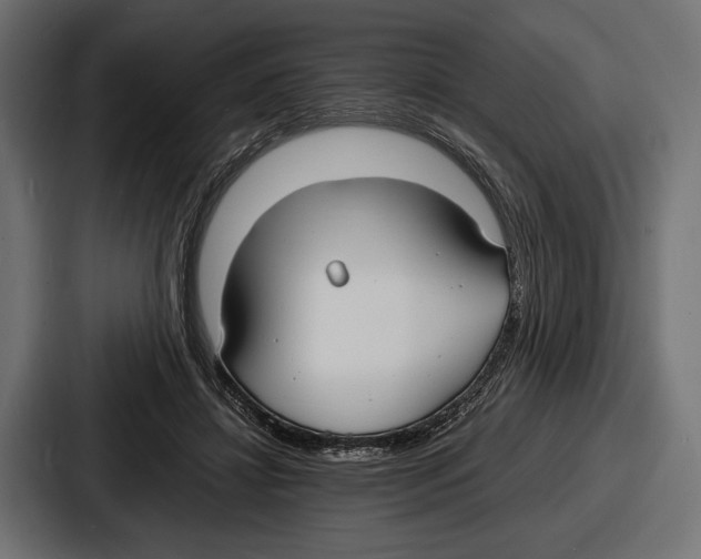 X0000086720452200705111558