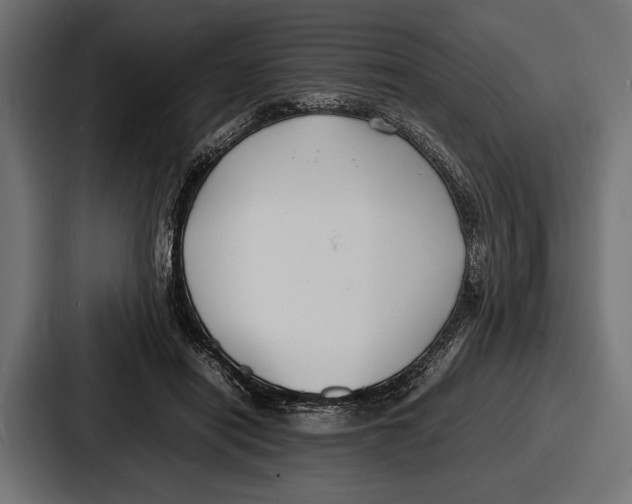 X0000086720454200705111558