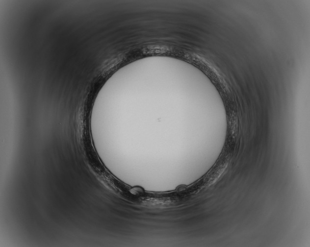 X0000086720455200705111558