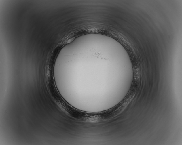 X0000086720456200705111558