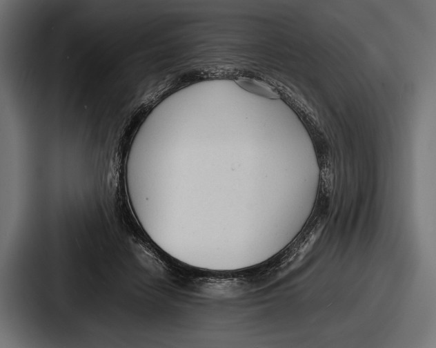 X0000086720458200705111558