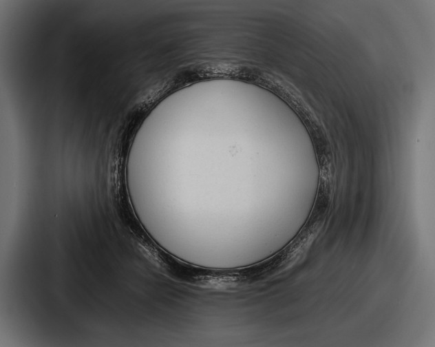 X0000086720462200705111558