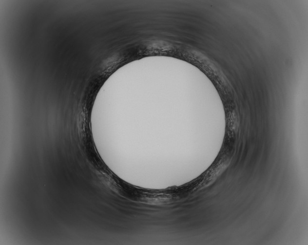 X0000086720463200705111558