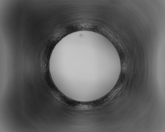 X0000086720464200705111558