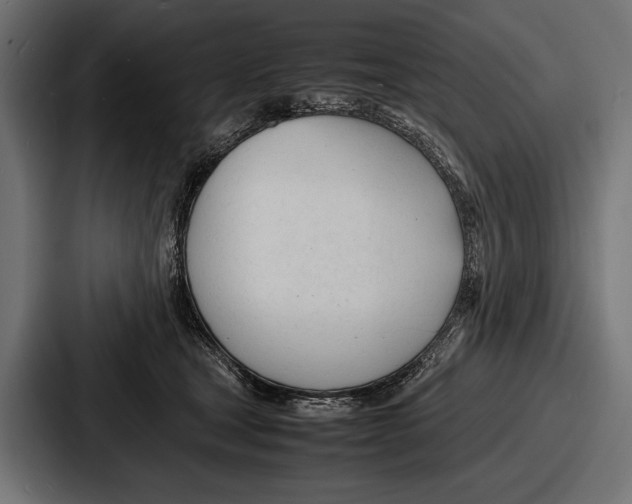 X0000086720465200705111558