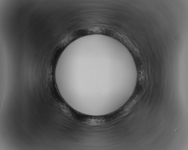 X0000086720466200705111558