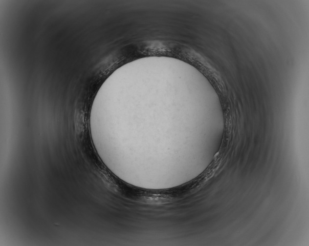 X0000086720467200705111558