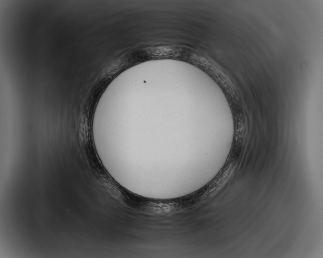 X0000086720469200705111558