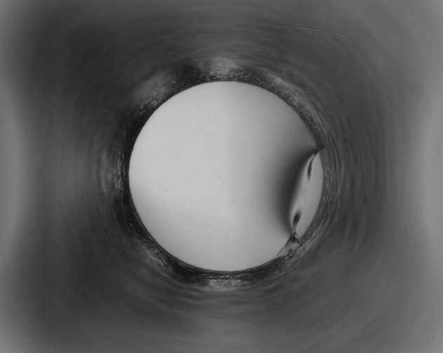 X0000086720470200705111558