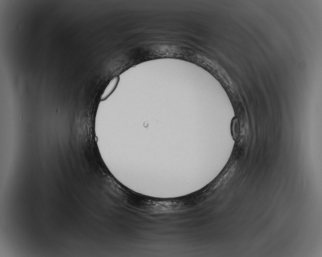 X0000086720473200705111558