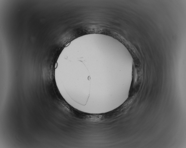 X0000086720474200705111558