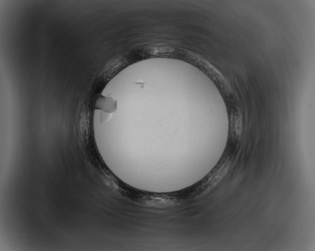 X0000086720475200705111558