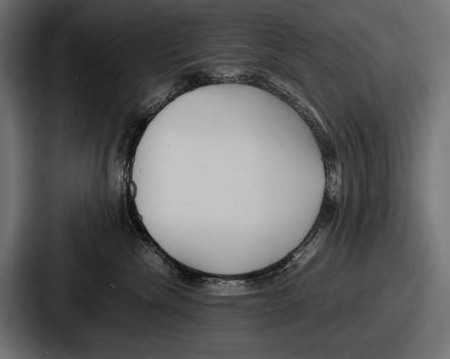 X0000086720476200705111558