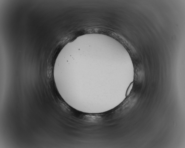 X0000086720477200705111558