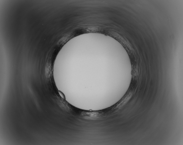 X0000086720478200705111558