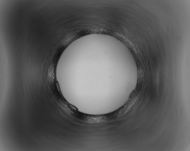 X0000086720479200705111558