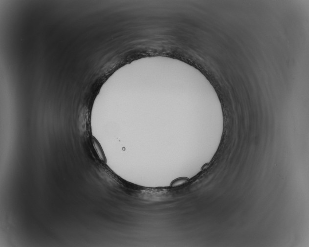 X0000086720480200705111558